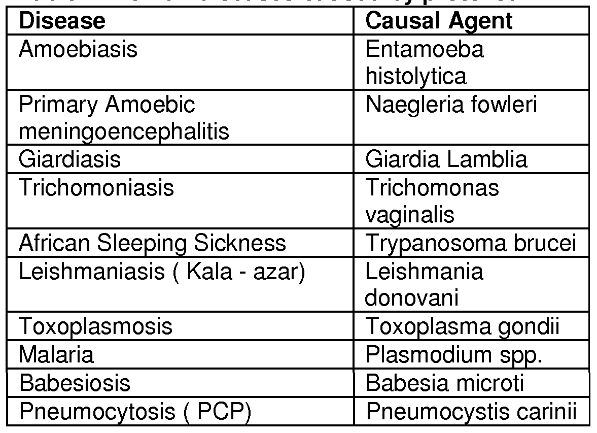 Common Diseases Causative Agent Signs And Symptoms Pd vrogue.co