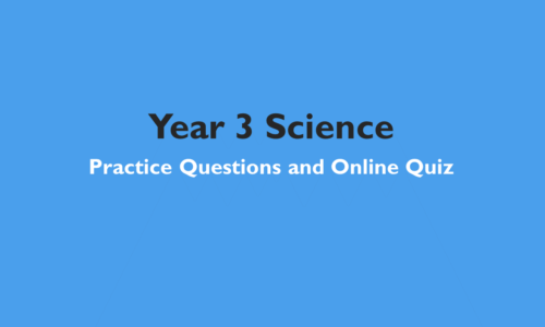 Year 3 Science – Practice Questions and Online Quiz