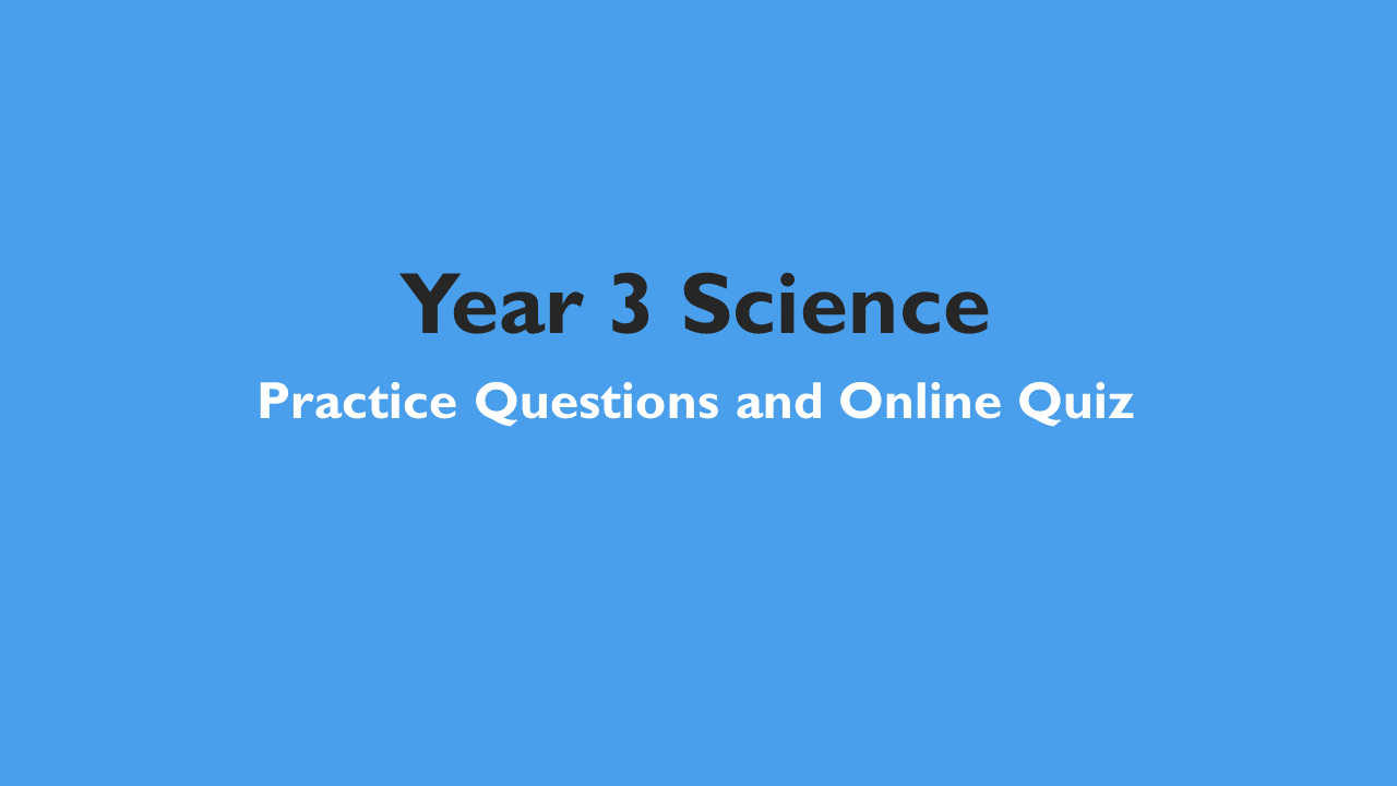 Year 3 Science – Practice Questions and Online Quiz