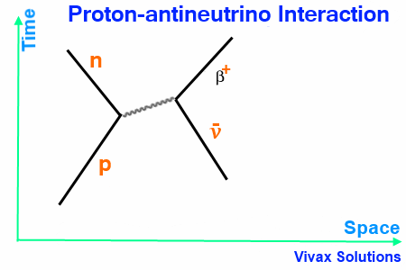 proton-antineutrino interaction -feynman diagram