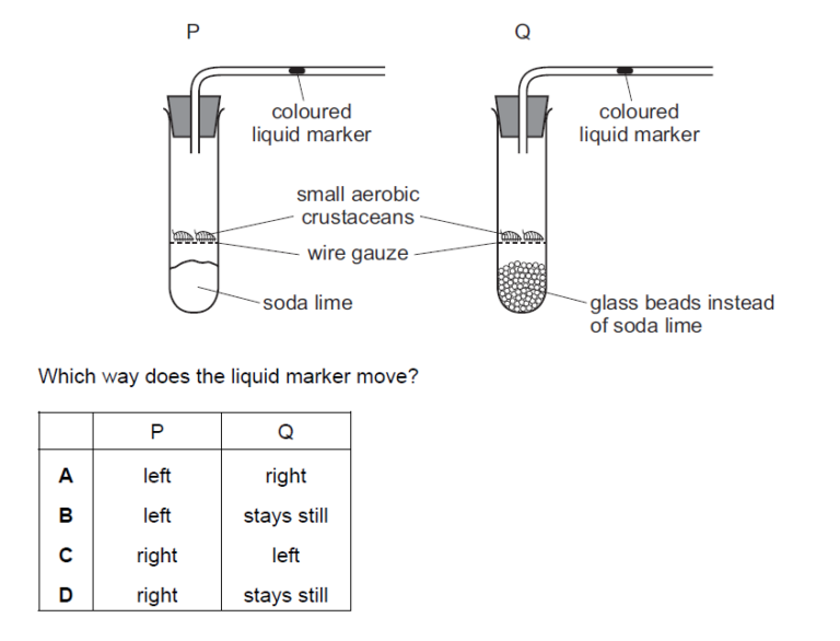iGCSE Biology (0610)12.1 Respiration iGCSE Style Questions Paper 1
