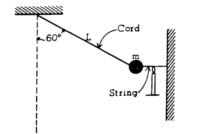 AP Physics 1 4.2 Work and Mechanical Energy Exam Style questions