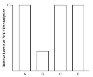 AP Biology :6.5 Regulation of Gene Expression - Exam Style questions ...