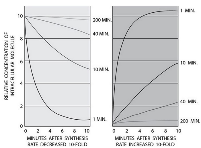 AP Biology 1.3 Introduction to Biological Macromolecules. Exam