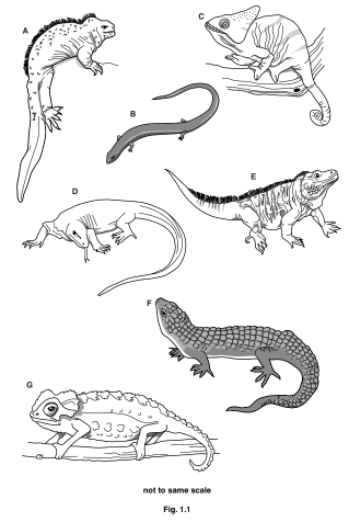 iGCSE Biology (0610) 1.2 Concept and uses of classification systems ...