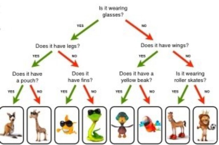 Year 4 Science: use classification keys to group living things-Study ... image.