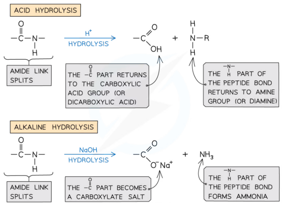 CIE AS Level Chemistry 9701 Topic 35 Polymerisation Unit 35.3