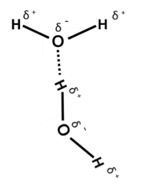 Hydrogen Bonding Diagram