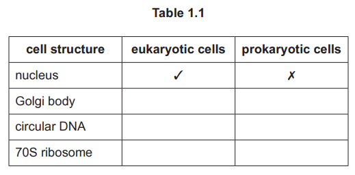 Table 1.1