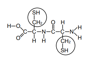 Answer to Part (a)