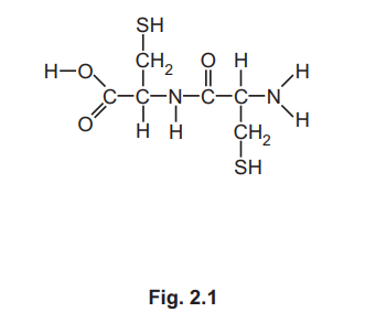 Structure of Cysteine Molecule
