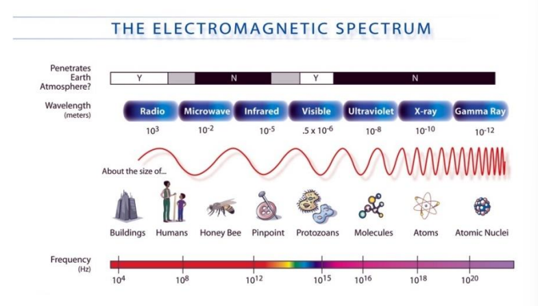 ripple tank experiment igcse