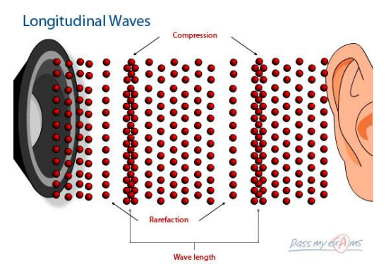 ripple tank experiment igcse