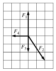 Force Diagram