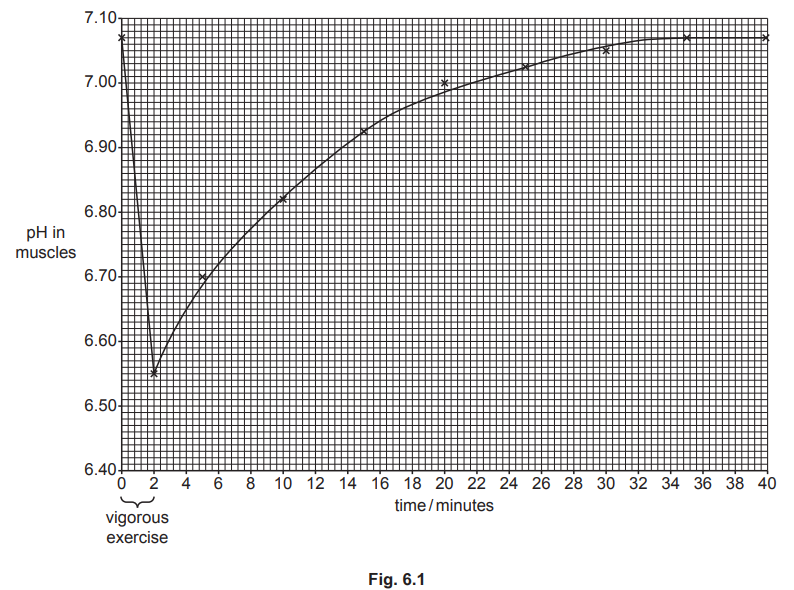 pH changes in muscles