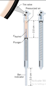 IBDP Physics SL&HL: C.1 Simple harmonic motion Study Notes -First ...