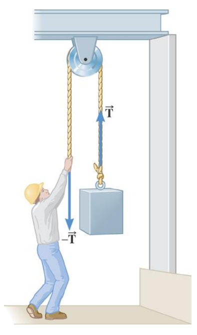 Applied Force Rope IBDP Physics 2025 SL&HL: 2.1 Forces and their direction Study Notes