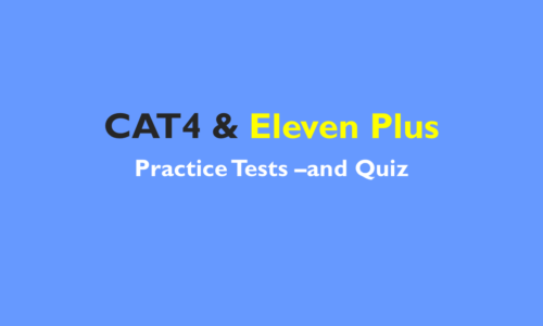 Cat4 Practice Test Year 7