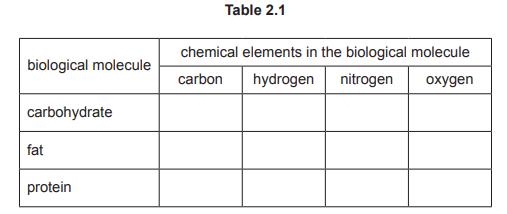 Biological Molecules Table