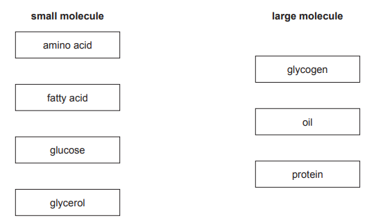 Molecule Matching