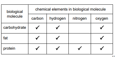 Biological Molecules Solution
