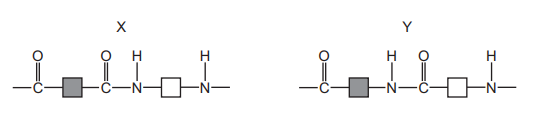 Polymer structures X and Y