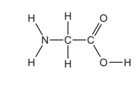 Structure of glycine