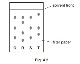 Chromatogram results for four plant extracts