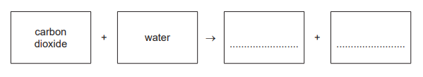 Photosynthesis word equation