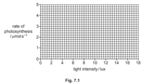 Fig. 7.1: Graph grid for plotting