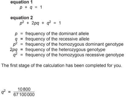 Hardy-Weinberg Equations