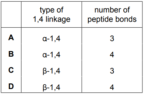 Multiple-choice options