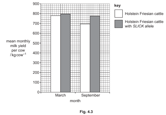 Milk Yield Comparison