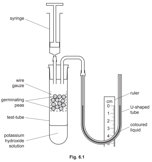 Respirometer Diagram