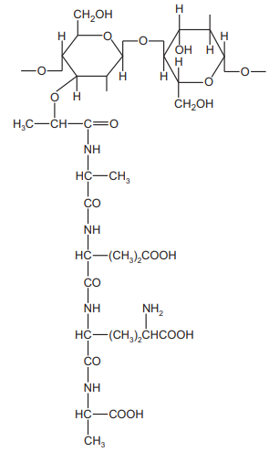 Peptidoglycan structure