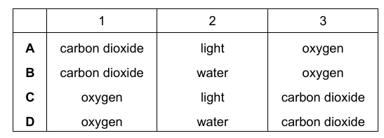 Options Table