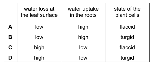 Wilting Plant Explanation Table