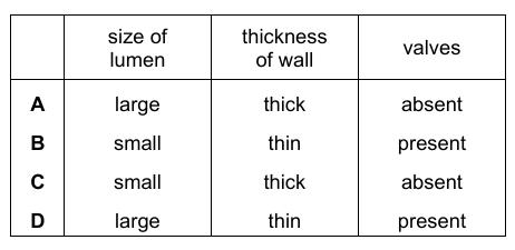 Blood Vessel Features Table