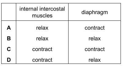 Muscle Actions Table