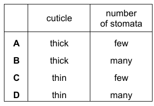 Xerophyte Features Table