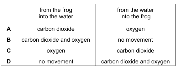 Frog Skin Diffusion Diagram