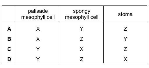 Table Options