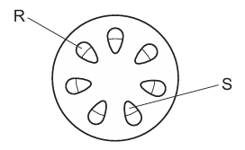 Stem Cross-Section