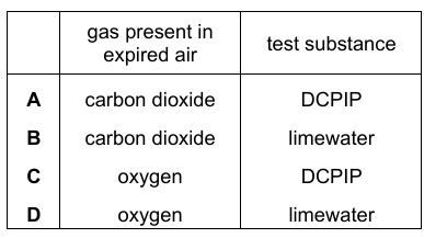 Gas Testing Table