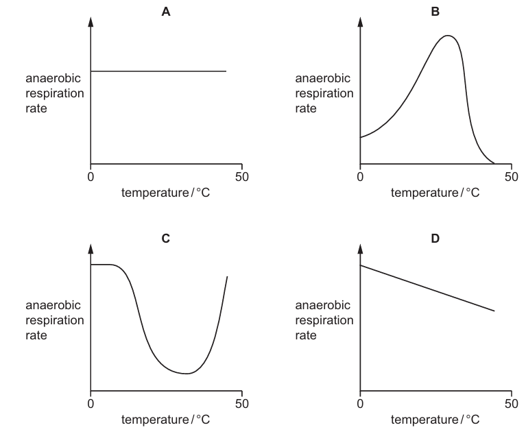 Graph Options for Yeast Respiration