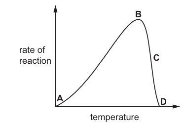 Enzyme Activity vs Temperature Graph