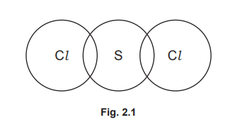 Dot-and-cross diagram for SCl₂