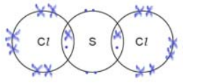 Dot-and-cross diagram for SCl₂ (answer)