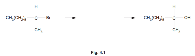 Reaction Mechanism Template
