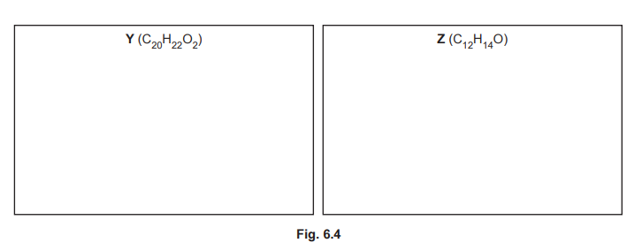 Fig. 6.4: By-products Y and Z
